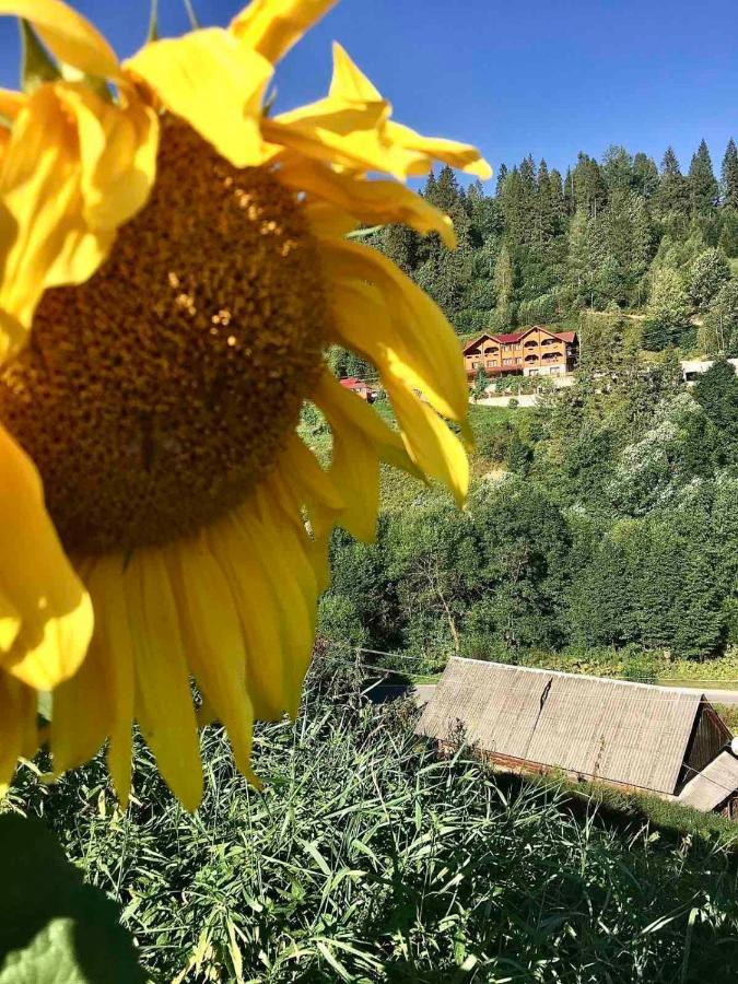 Privatna Sadiba Chalet Oryavchyk Luaran gambar