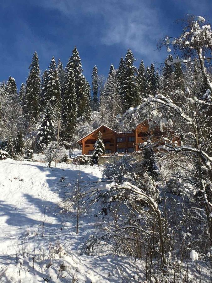 Privatna Sadiba Chalet Oryavchyk Luaran gambar